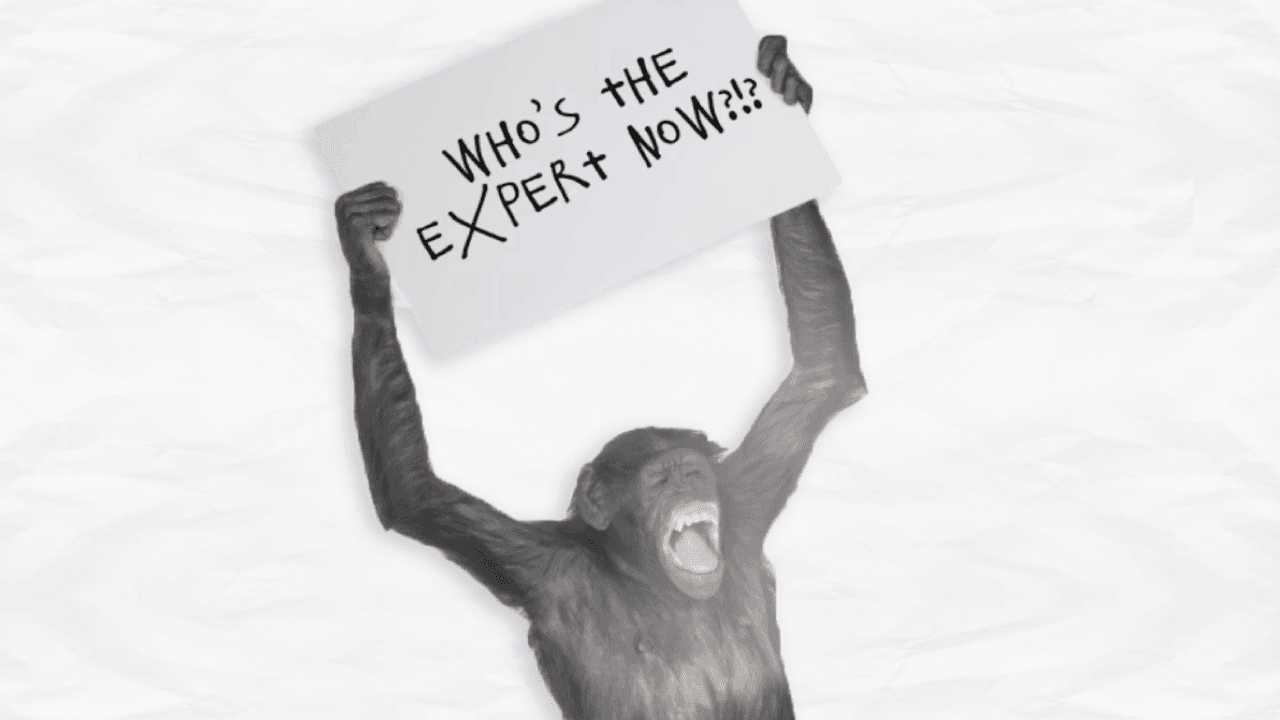 How Expert Are Expert Stock Pickers?