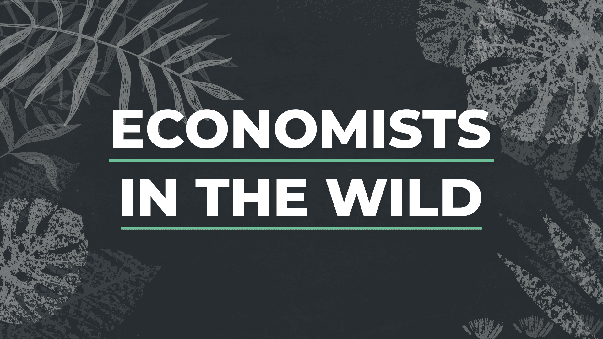 Economists in the Wild